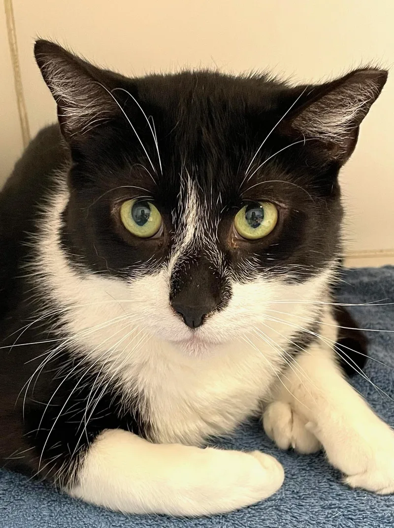 Mcflurry thumbnail 5