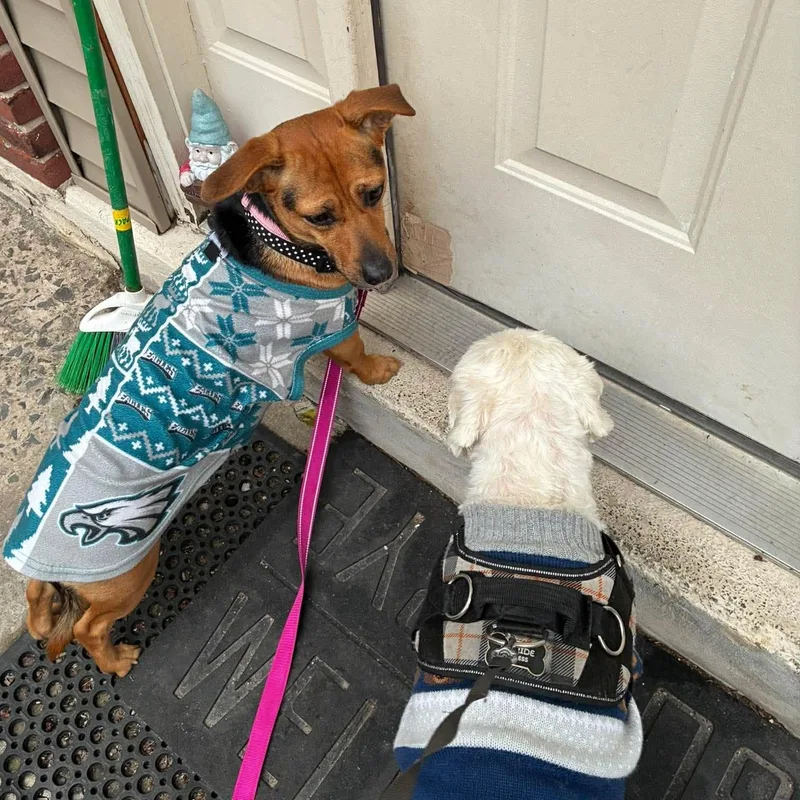 Lil Alice thumbnail 2