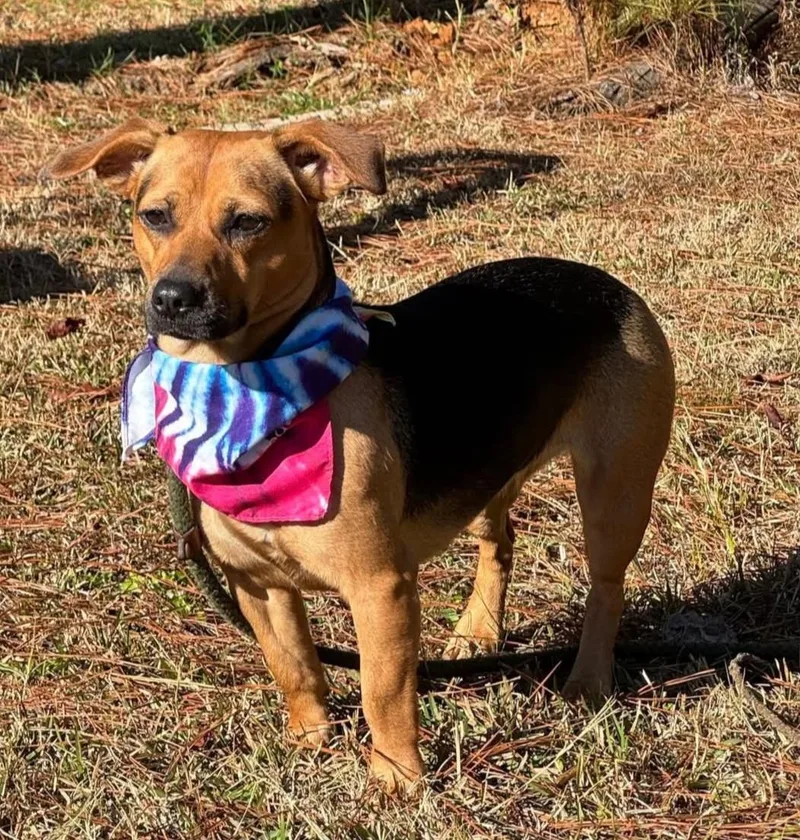 Lil Alice thumbnail 3