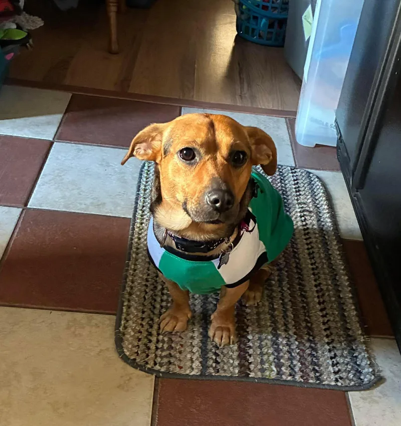 Lil Alice thumbnail 5