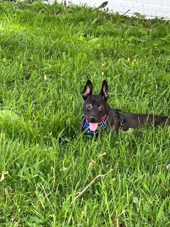 Roxy thumbnail 2