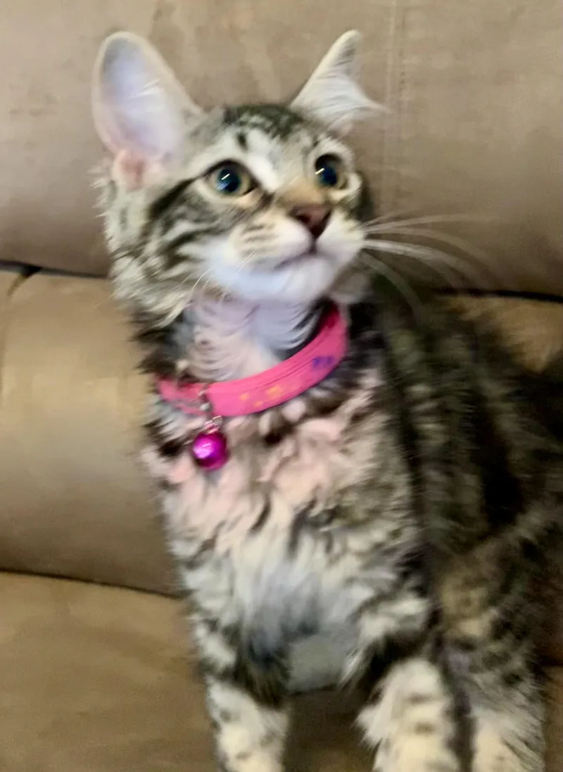 Carly