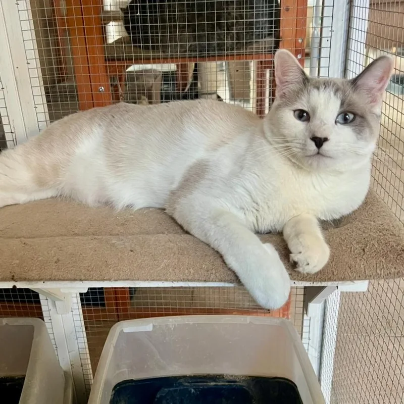 Debs Boy thumbnail 3