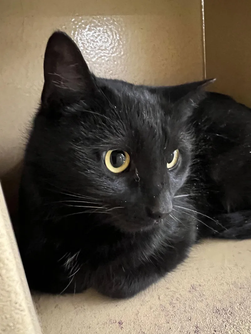 Bridgette thumbnail 3