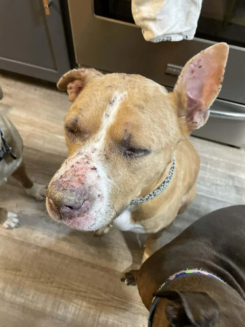 Ellie Mae thumbnail 2