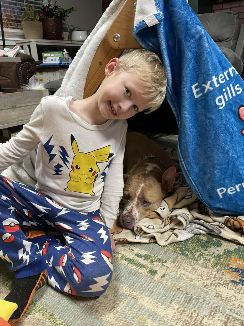 Ellie Mae thumbnail 3