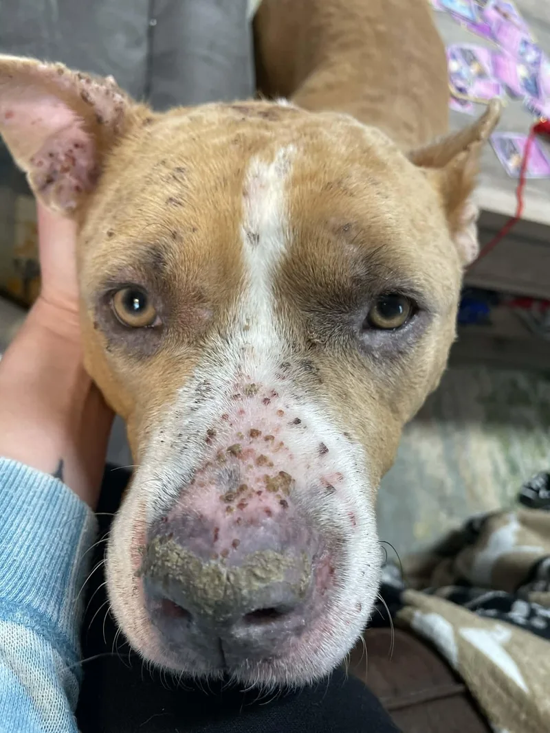 Ellie Mae thumbnail 6