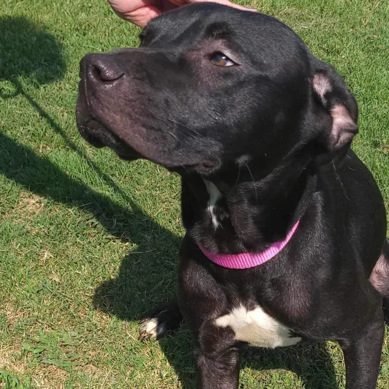 Sherryshy Jrjuno thumbnail 2