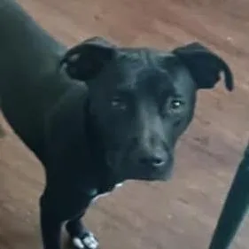 Sherryshy Jrjuno thumbnail 4