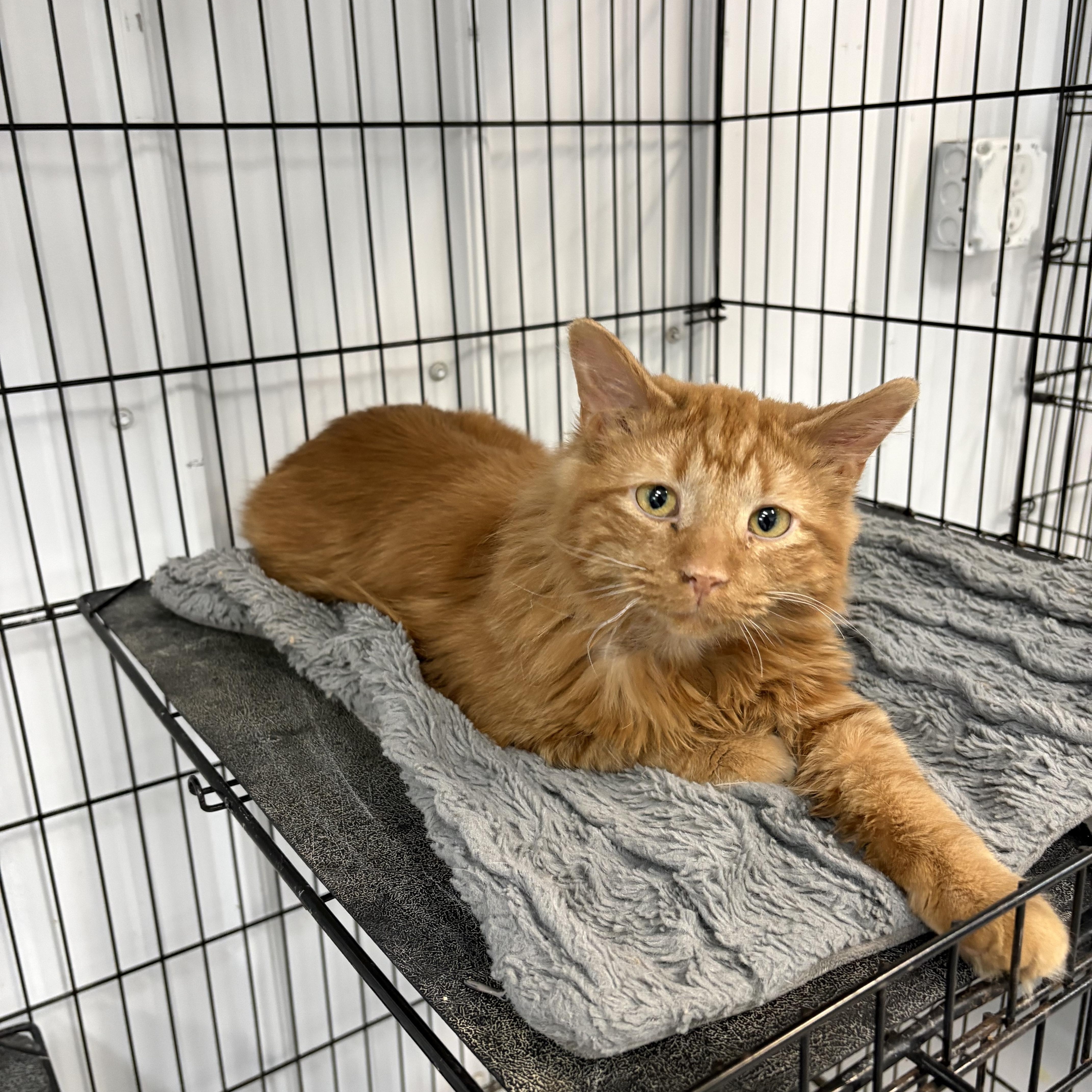 Mamacita thumbnail 2