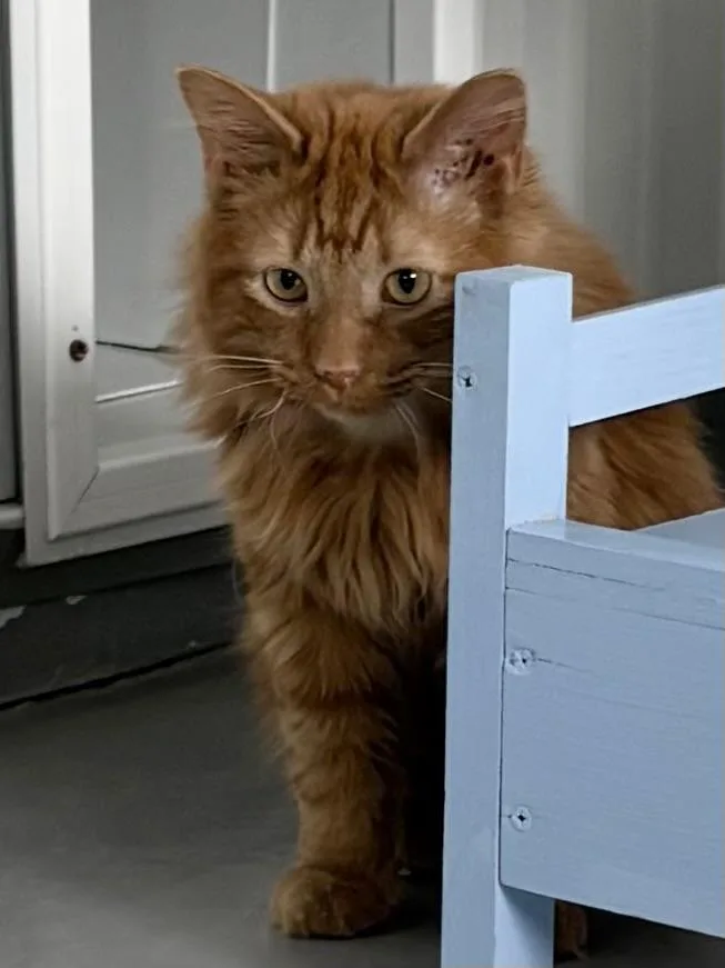 Mamacita thumbnail 3