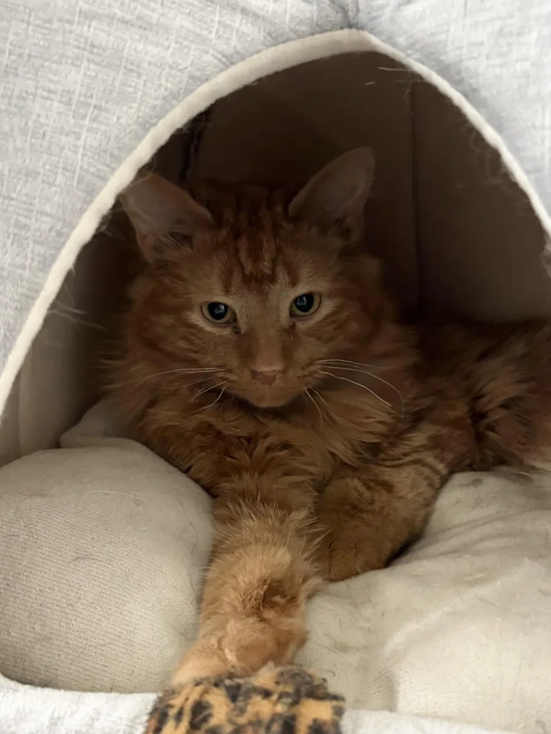 Mamacita thumbnail 4