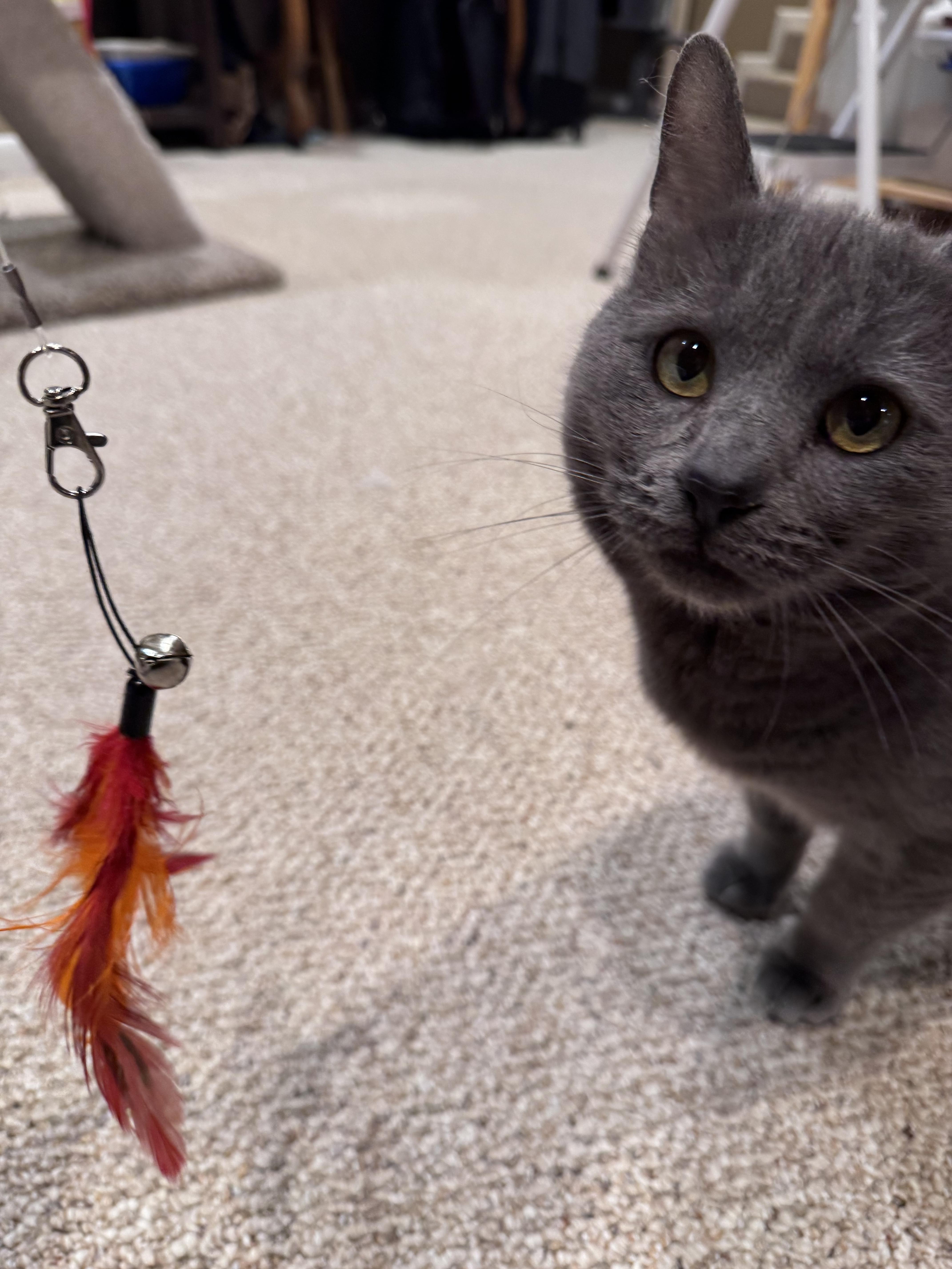 Ilya: Your Loyal Talkative thumbnail 2