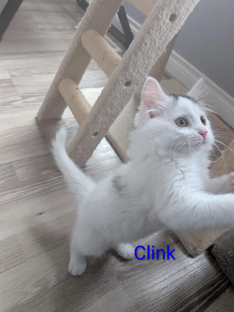 Clink thumbnail 2