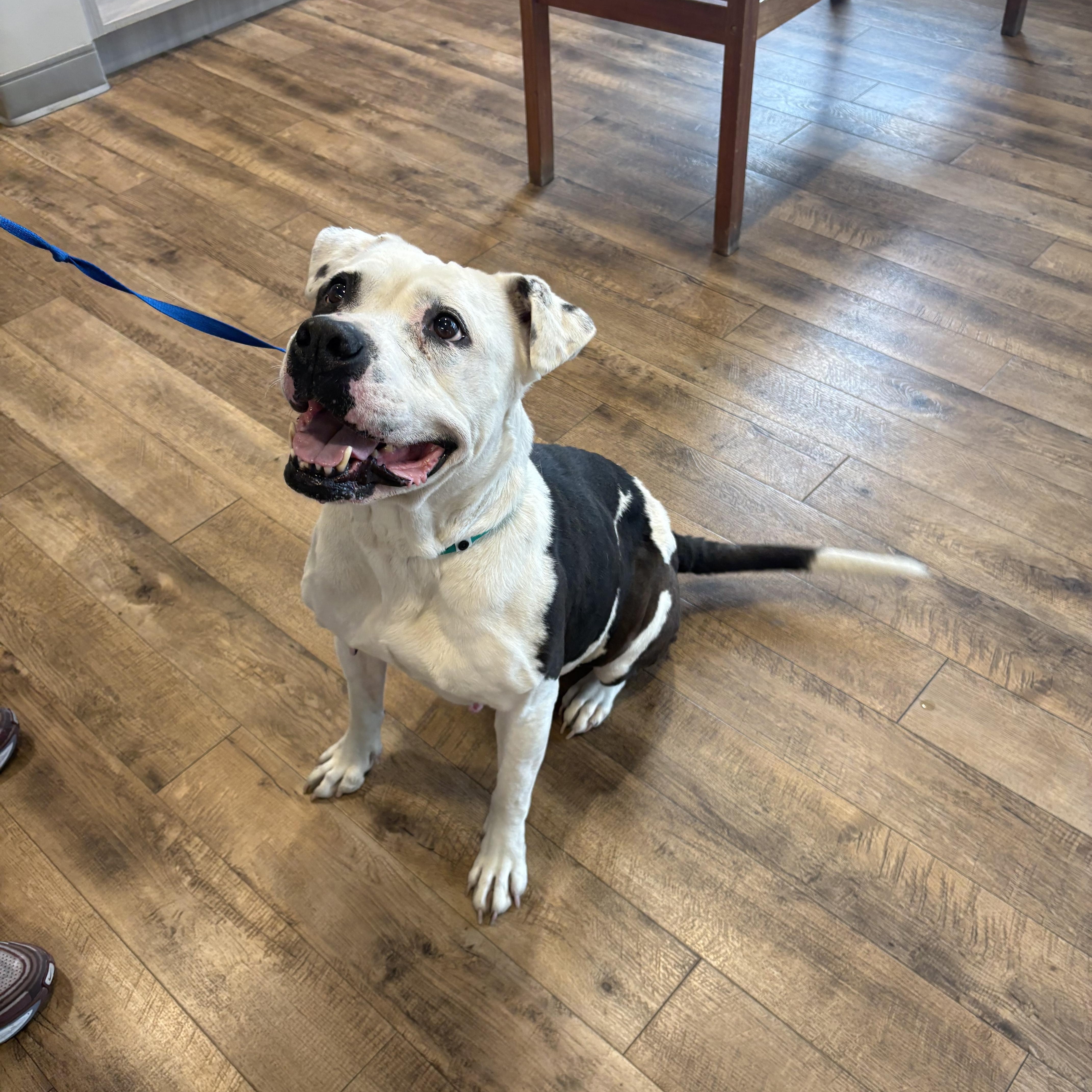 Cutie Pie thumbnail 2