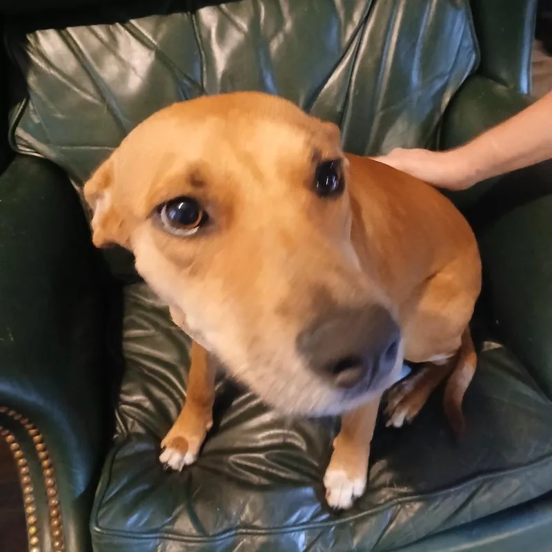 Wednesday thumbnail 2