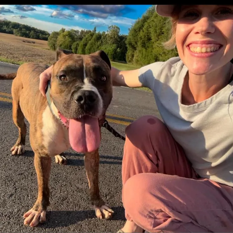 Meatloaf thumbnail 2