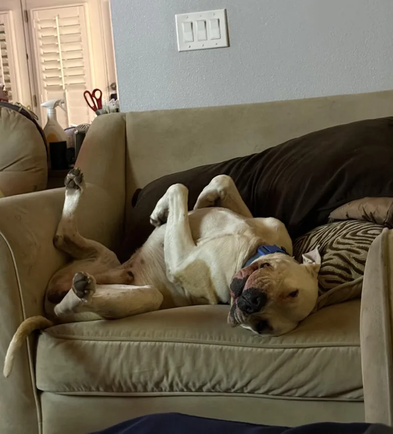 Theodore thumbnail 2