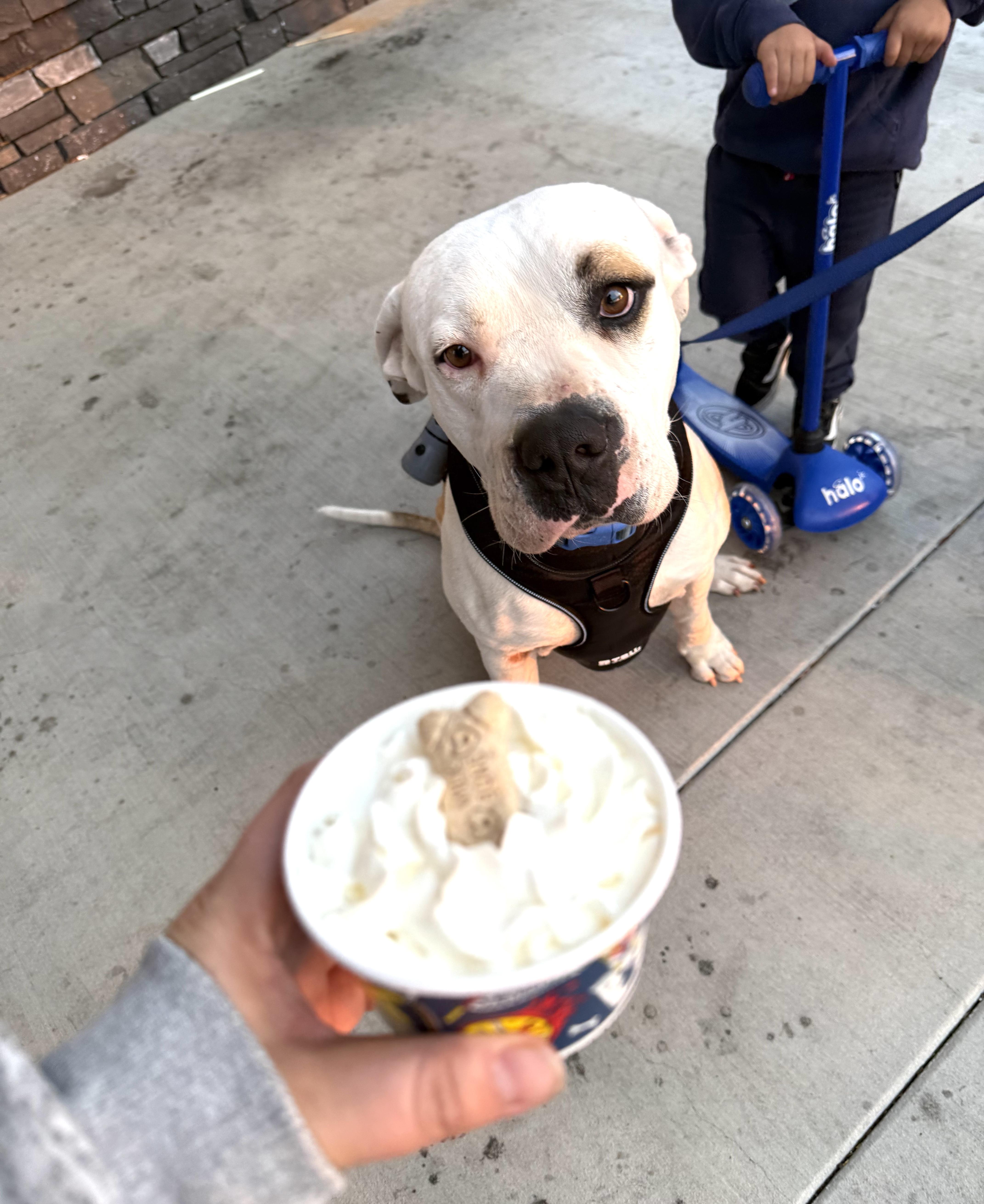 Theodore thumbnail 3