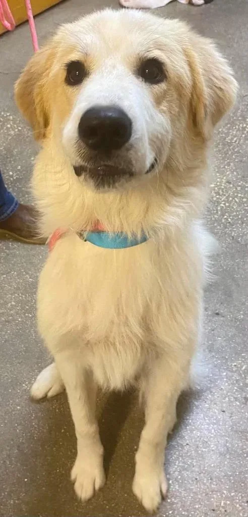Marley