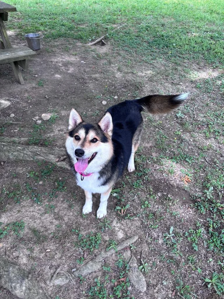 Aiko thumbnail 2