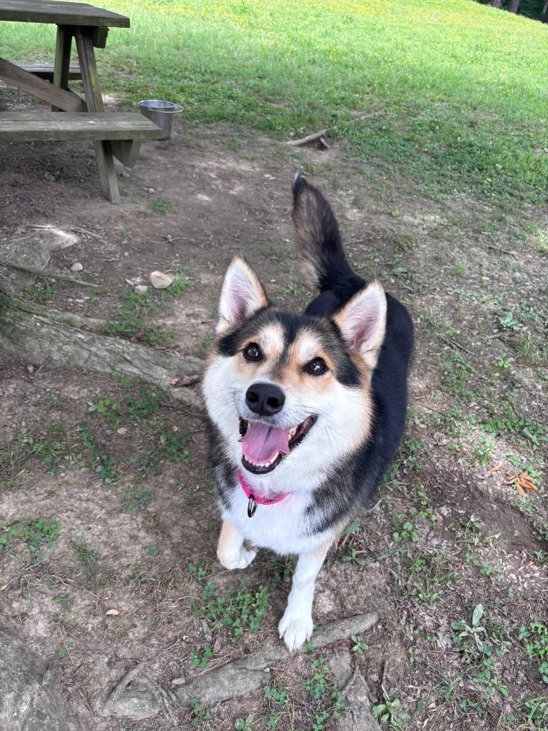 Aiko thumbnail 3