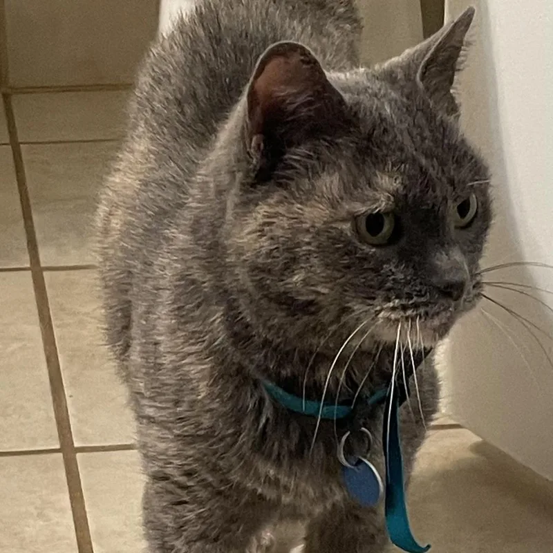 Cuyahoga thumbnail 2