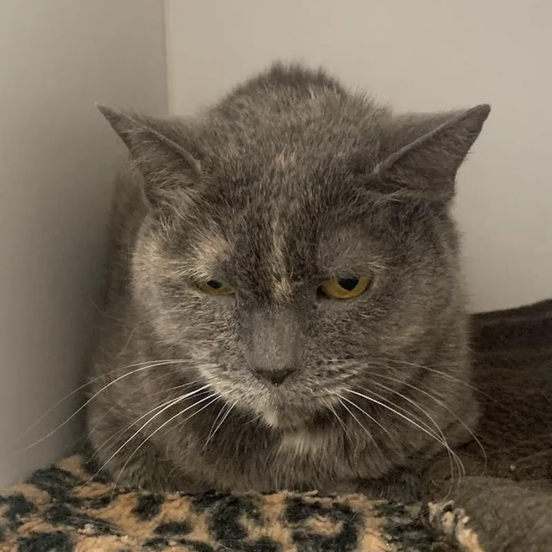 Cuyahoga thumbnail 4