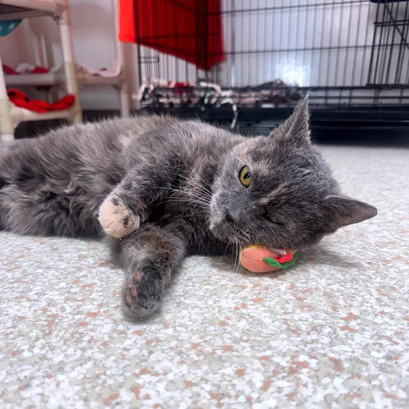 Cuyahoga thumbnail 5