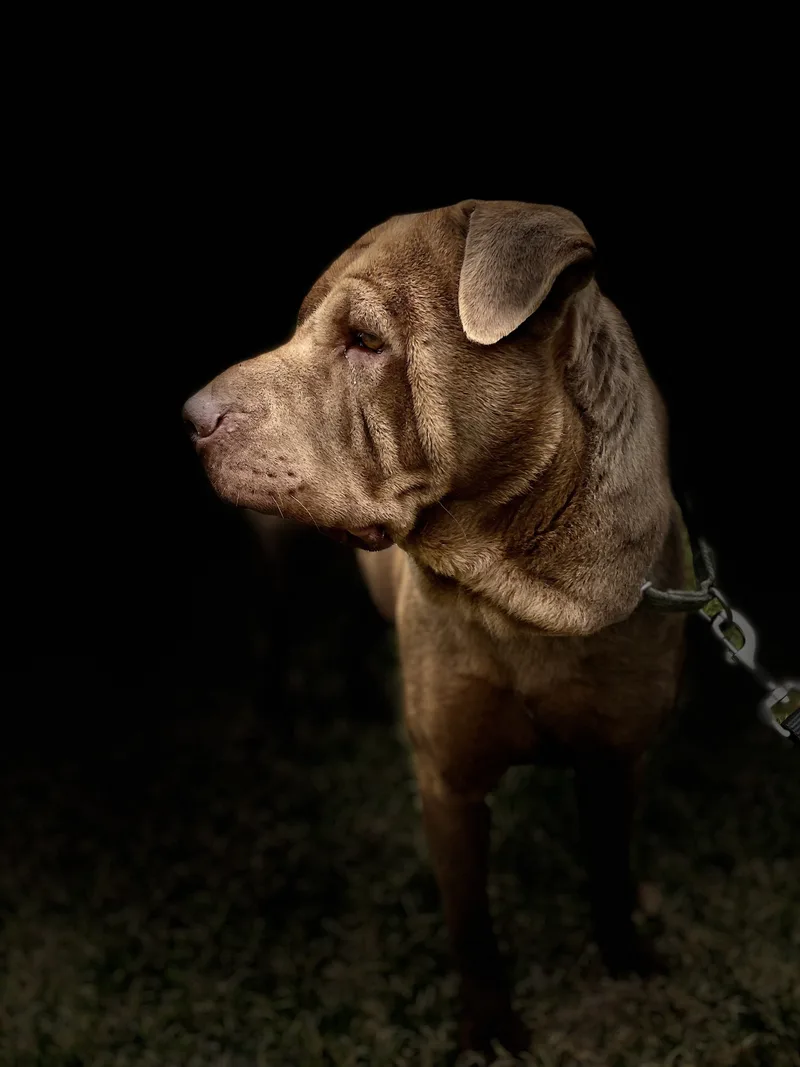 Tiny The Treasure thumbnail 3