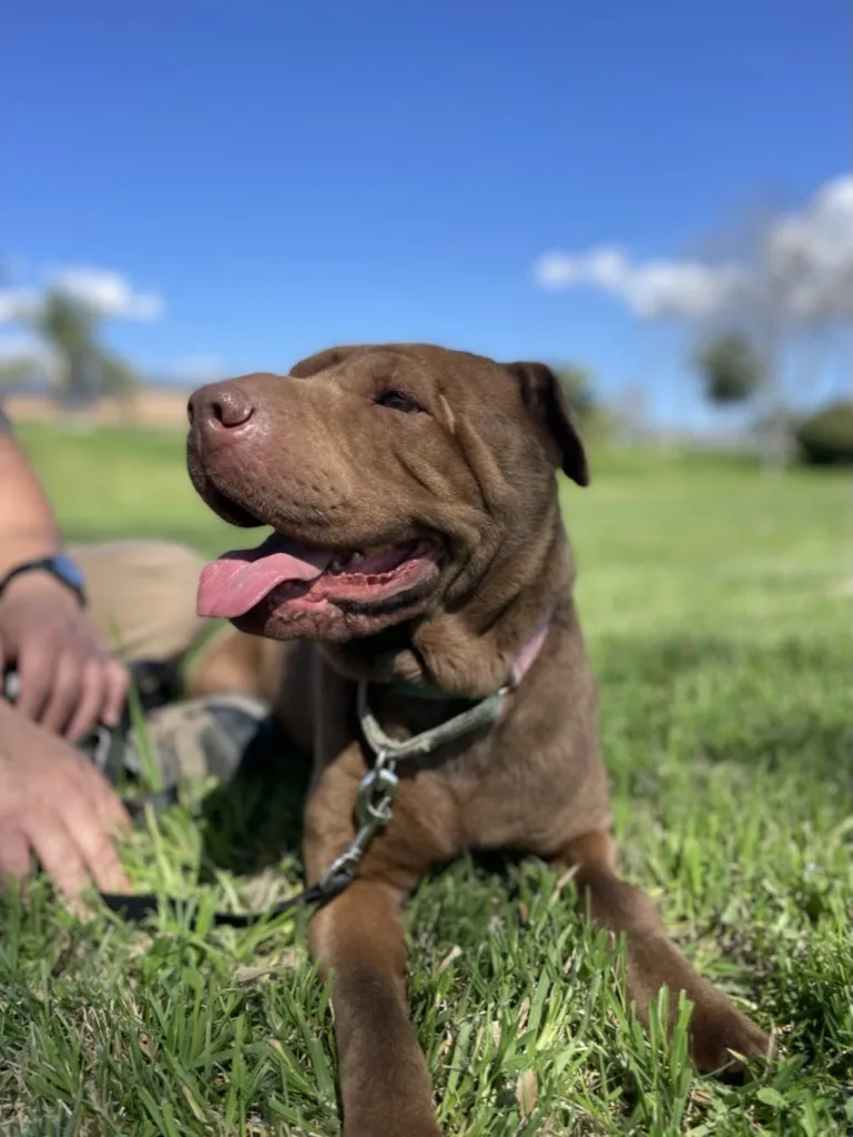 Tiny The Treasure thumbnail 4