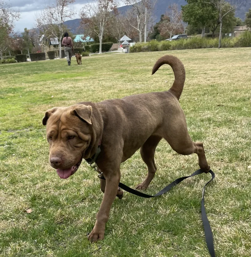 Tiny The Treasure thumbnail 5