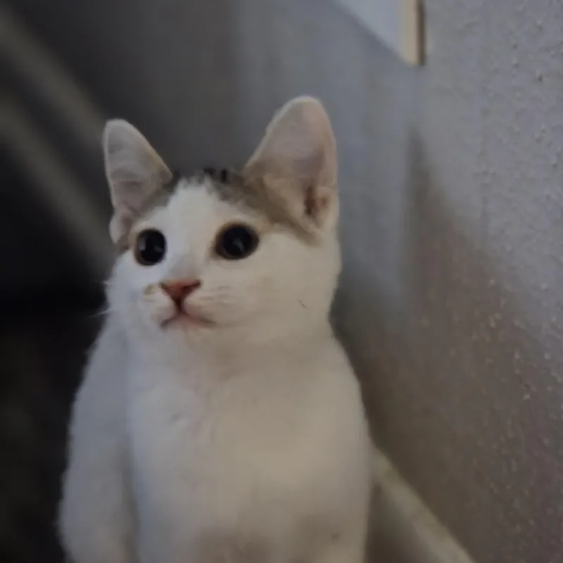 Lena thumbnail 4
