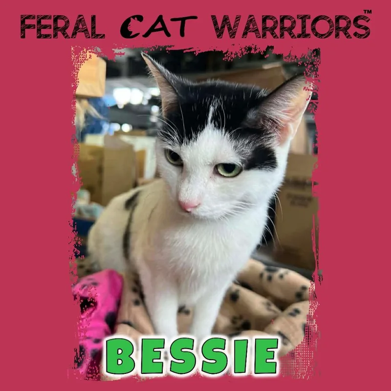 Bessie