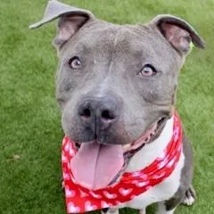 Dinah Barkington thumbnail 2