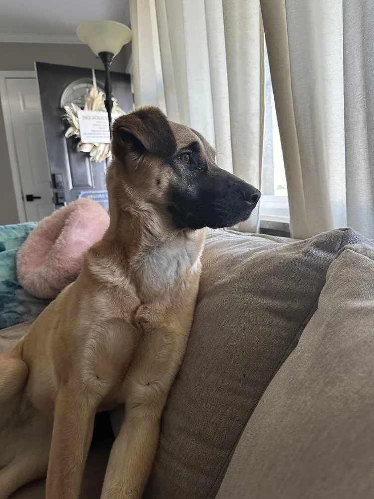 Lynn Guini thumbnail 2