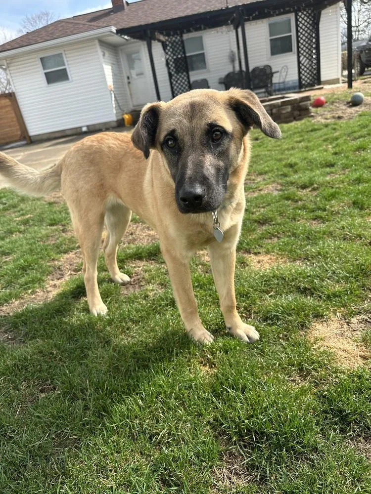 Lynn Guini thumbnail 3