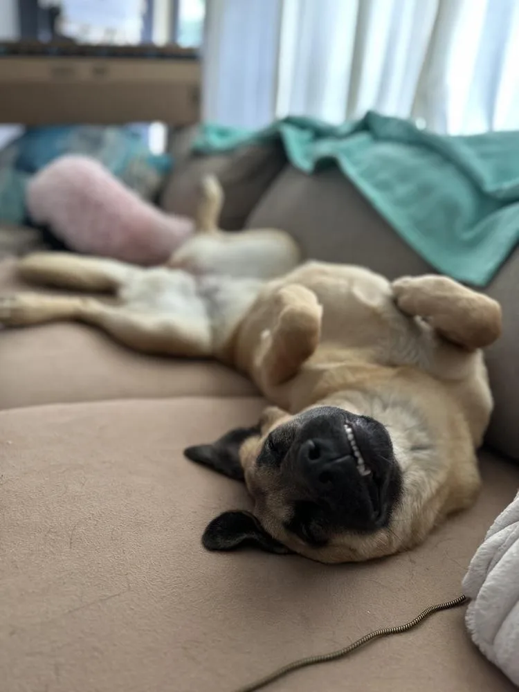 Lynn Guini thumbnail 4