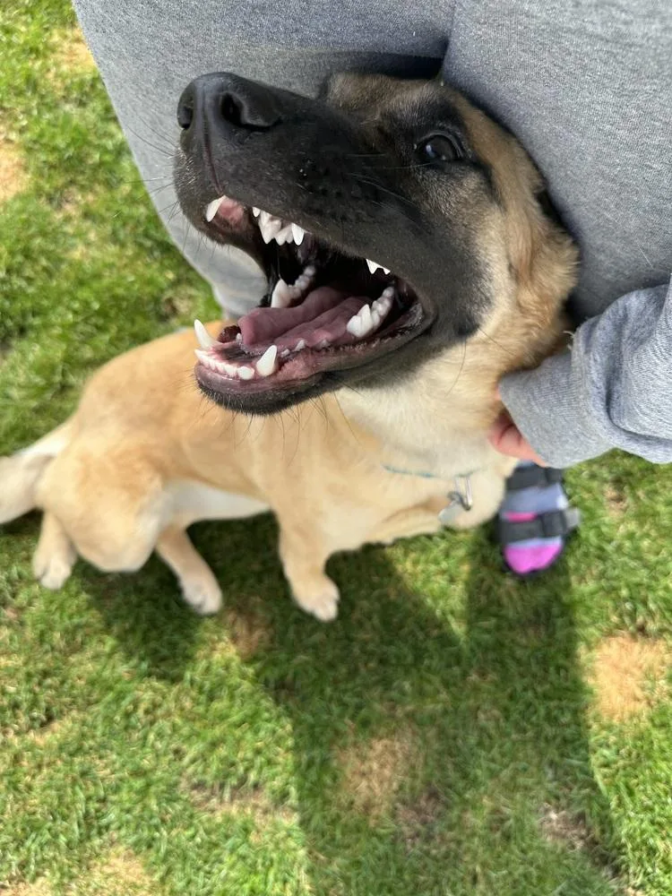 Lynn Guini thumbnail 5