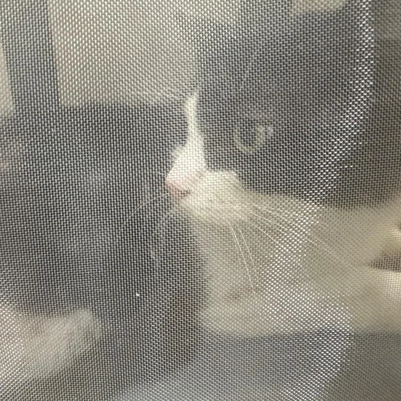 Tux