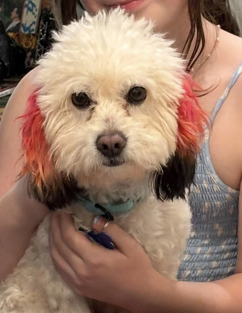 River Run thumbnail 2