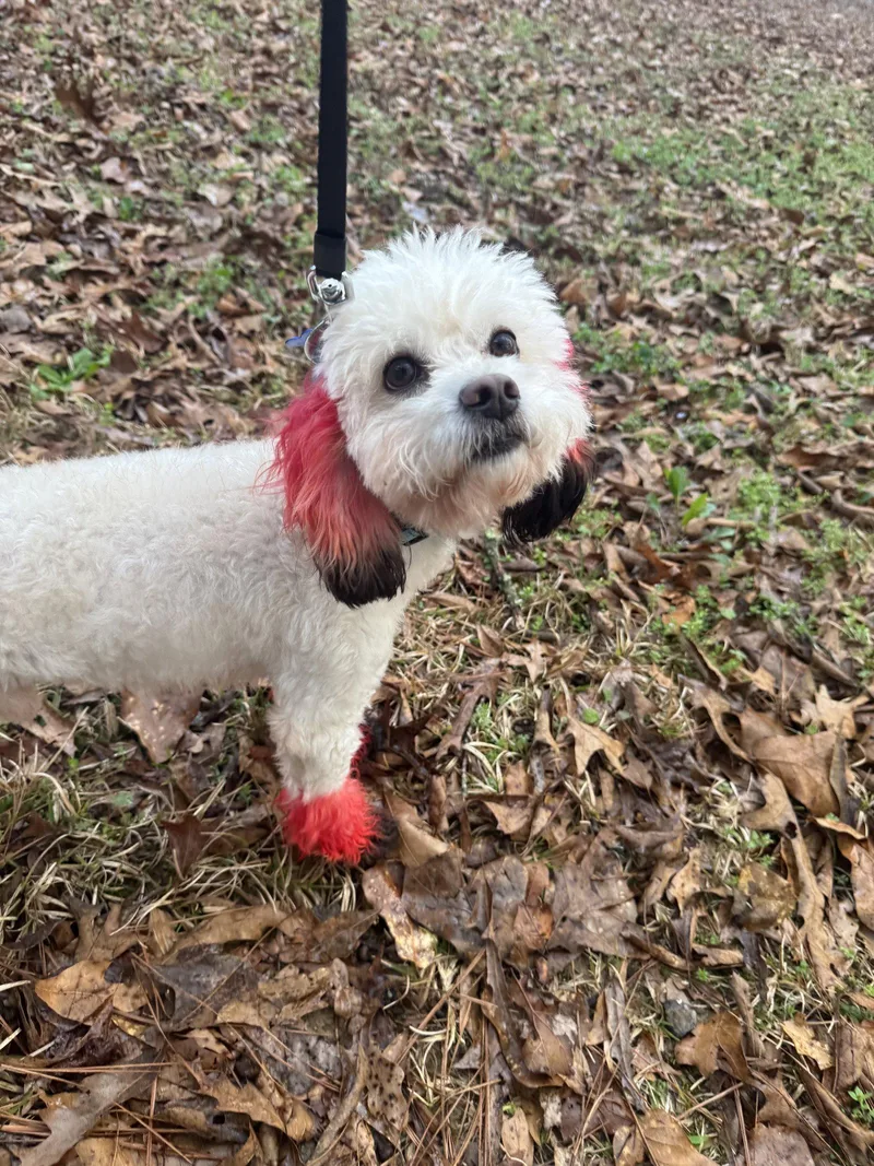 River Run thumbnail 3