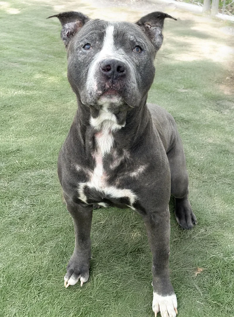 Newman thumbnail 2