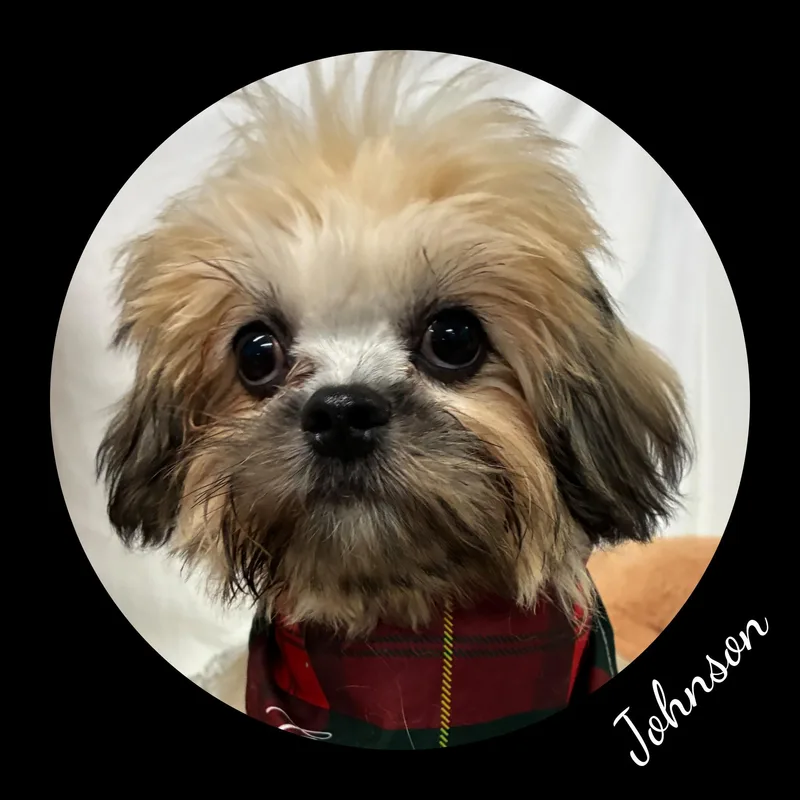 Johnson thumbnail 3