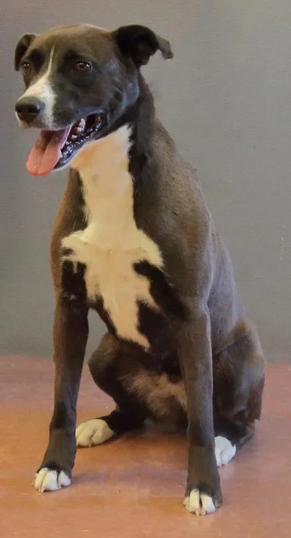 Leia Grace thumbnail 2