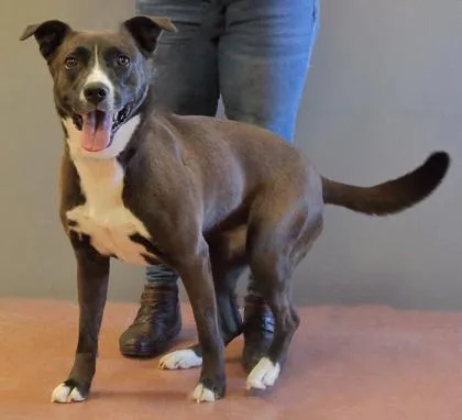 Leia Grace thumbnail 3