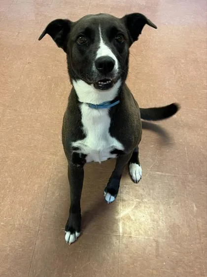 Leia Grace thumbnail 4