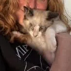 Zebra Cake thumbnail 2