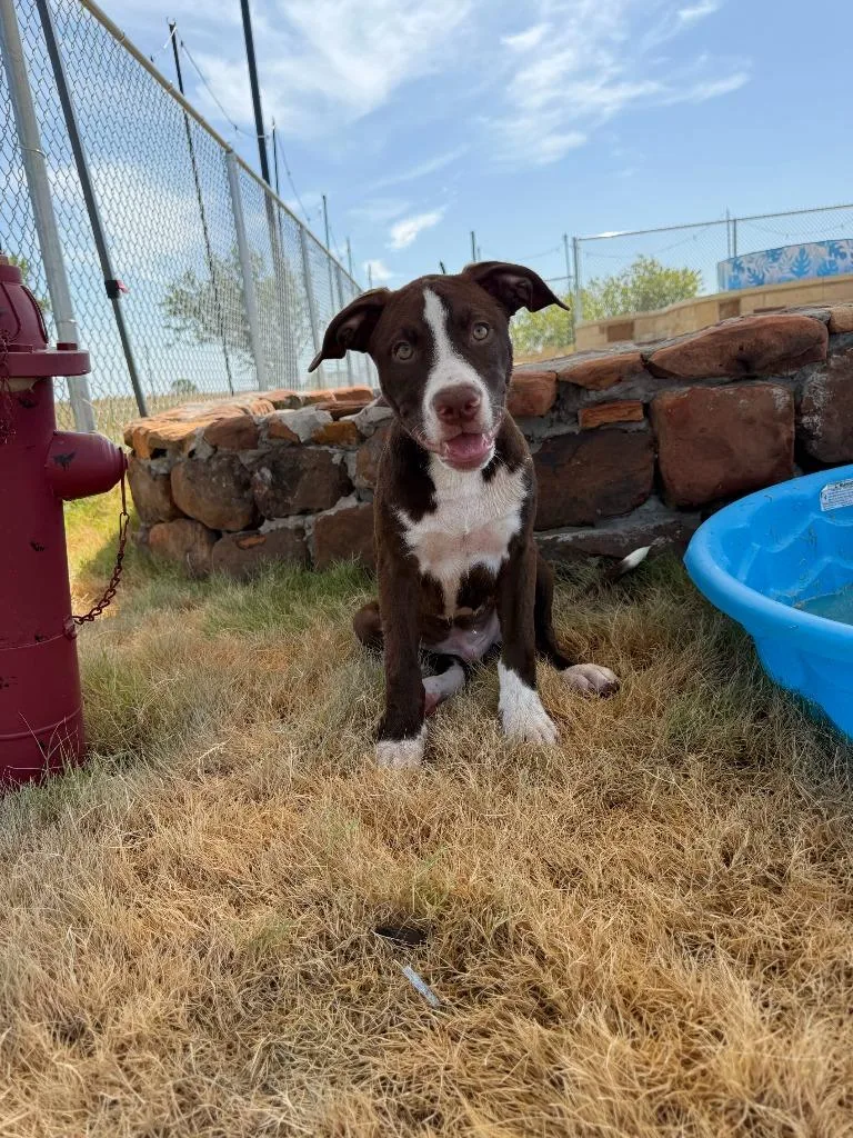 Clyde