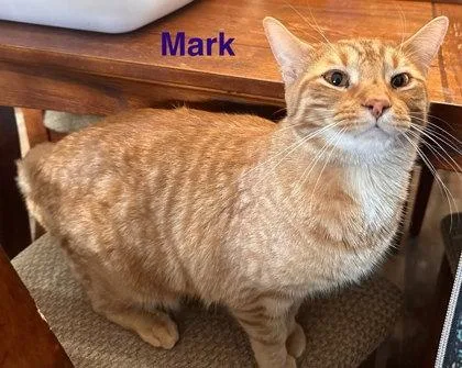 Mark